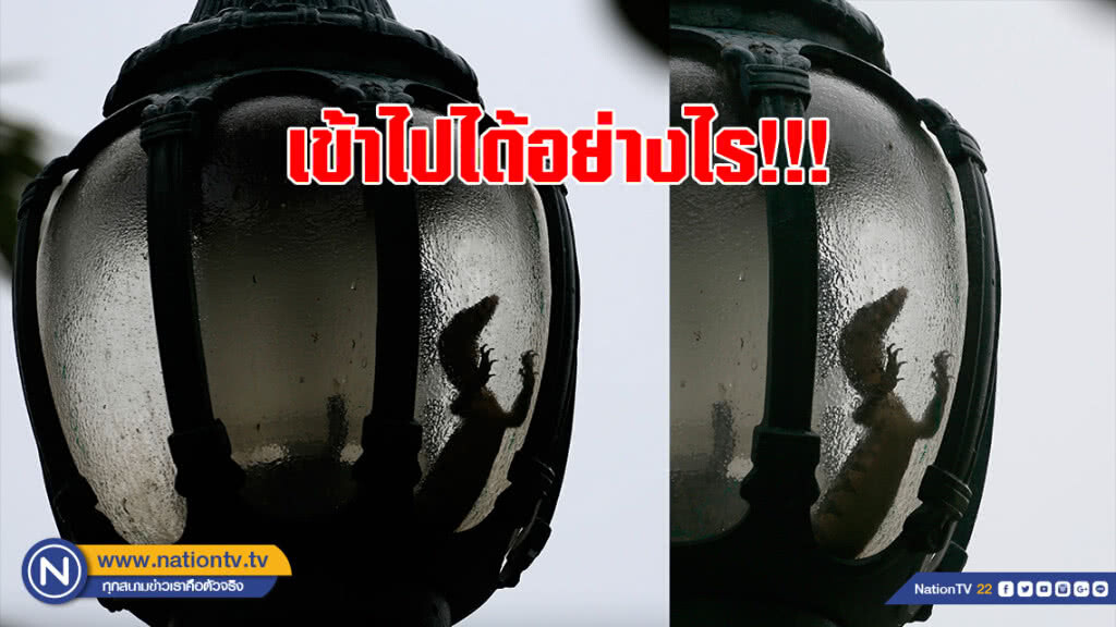 เข้าไปได้อย่างไร!!! เข้าไปได้อย่างไร!!!