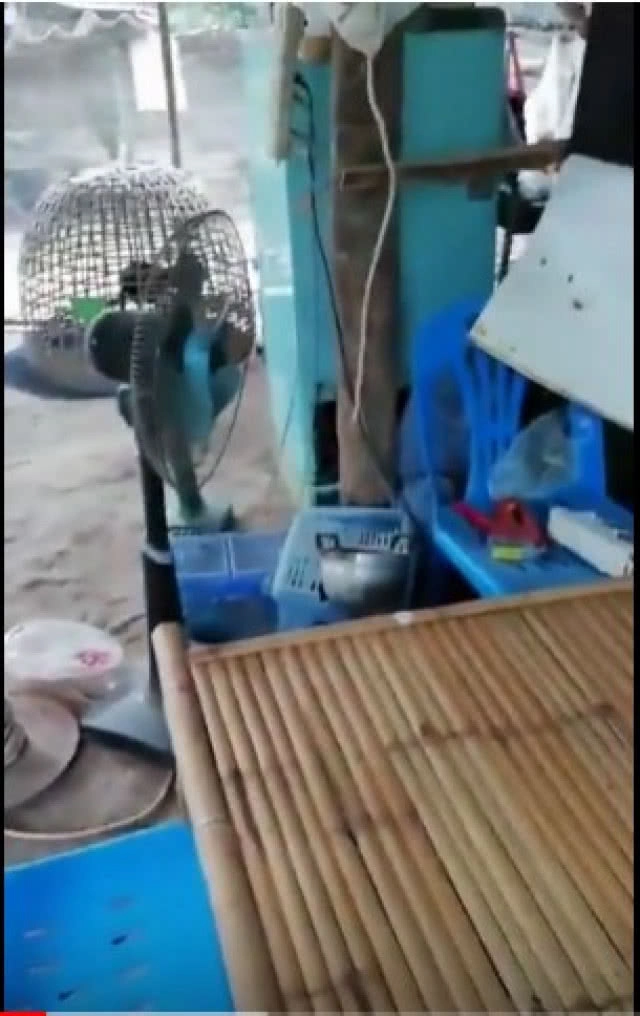 จาก "ผู้กองยอดรัก" ถึง "พลทหารเลี้ยงไก่" ผ่าระบบ "ทหารรับใช้"