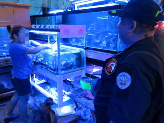 ปทส.บุกจับร้านลักลอบขาย "ปะการัง-ดอกไม้ทะเล" หวงห้าม ภายในตลาดจตุจักรพลาซ่า (มีคลิป)