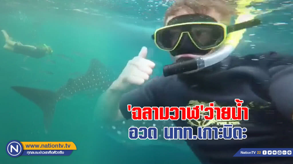 (ชมคลิป) ฉลามวาฬว่ายน้ำอวด นทท.เกาะบิดะ (ชมคลิป) ฉลามวาฬว่ายน้ำอวด นทท.เกาะบิดะ