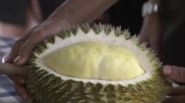 ชวนชิม "ทุเรียนภูเขาไฟ" รุ่นสุดท้ายของฤดูกาลผลไม้ ของดีขึ้นชื่อเมืองศรีสะเกษ