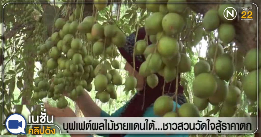 บุฟเฟต์ผลไม้ชายแดนใต้...ชาวสวนวัดใจสู้ราคาตก บุฟเฟต์ผลไม้ชายแดนใต้...ชาวสวนวัดใจสู้ราคาตก