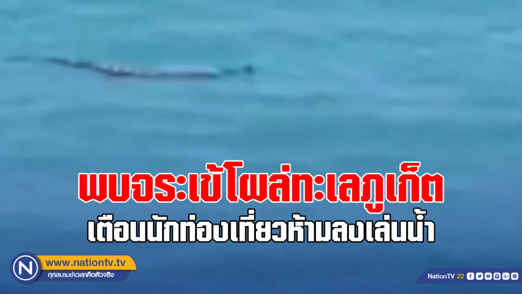เตือน! พบจระเข้โผล่ทะเลภูเก็ต นักท่องเที่ยวห้ามลงเล่นน้ำ เตือน! พบจระเข้โผล่ทะเลภูเก็ต นักท่องเที่ยวห้ามลงเล่นน้ำ