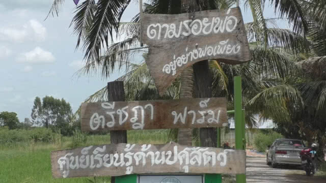 อดีตสาวโรงงานชัยนาท ทำเกษตรพอเพียงแค่ 3 ปี ล้างหนี้ได้กว่า 5 แสนบาท จากกว่า 2 ล้าน (ชมคลิป)