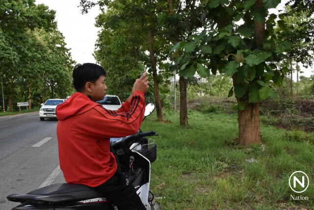 ผวา! ฝูงนกกระยางขาว-นกปากห่างนับแสนตัว