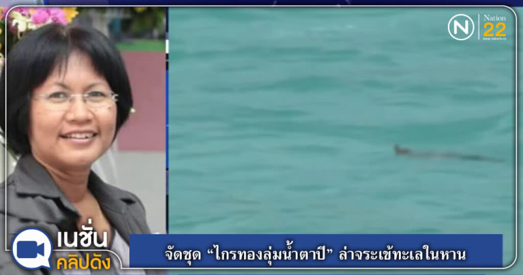 จัดชุด "ไกรทองลุ่มน้ำตาปี" ล่าจระเข้ทะเลในหาน จัดชุด "ไกรทองลุ่มน้ำตาปี" ล่าจระเข้ทะเลในหาน