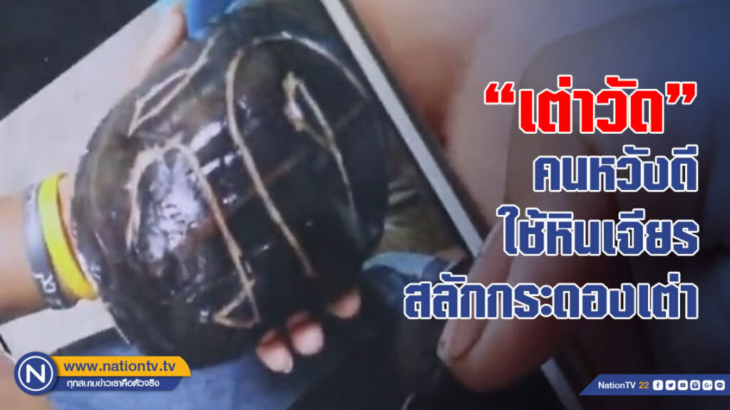 คนใจดีกลับกลายเป็นประสงค์ร้าย ใช้หินเจียรสลักกระดองเต่าทะลุถึงปอด