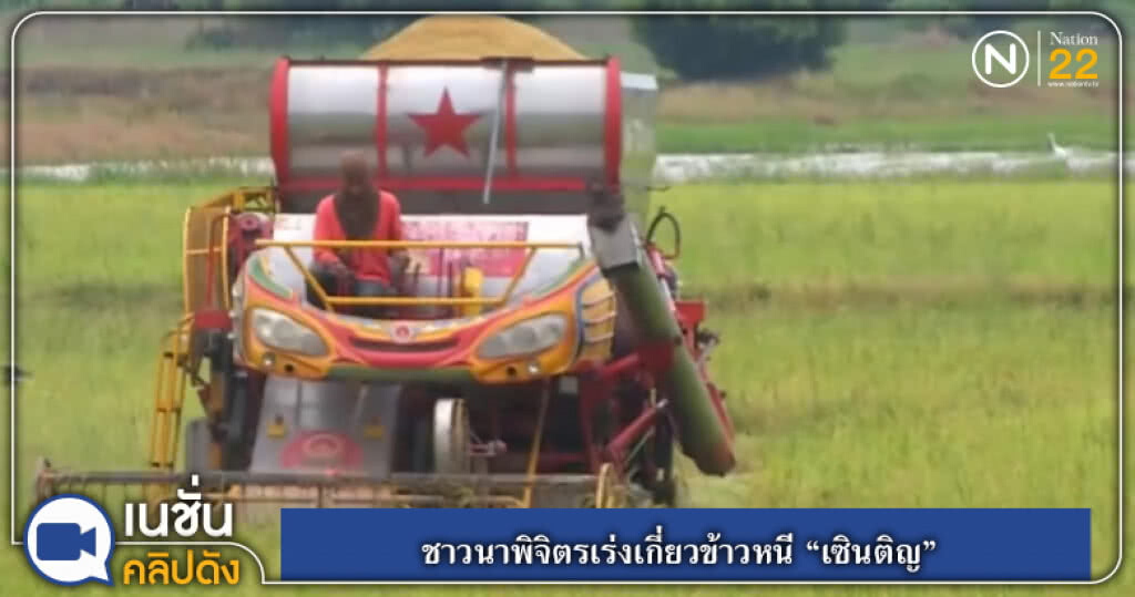 ชาวนาพิจิตรเร่งเกี่ยวข้าวหนี "เซินติญ" ชาวนาพิจิตรเร่งเกี่ยวข้าวหนี "เซินติญ"