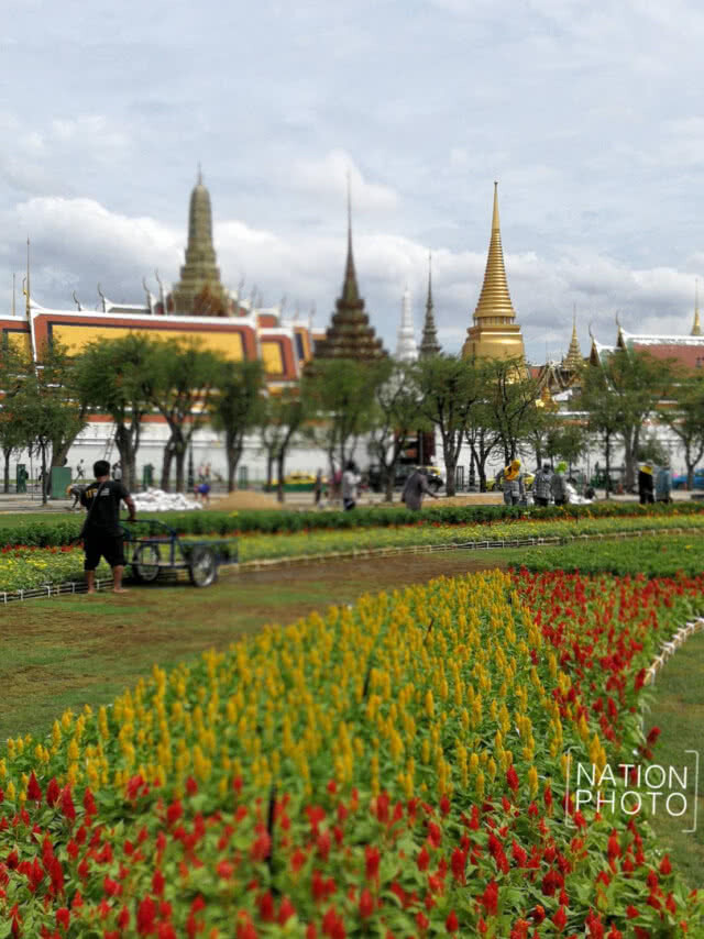 สมพระเกียรติ! ปรับภูมิทัศน์ท้องสนามหลวงเตรียมงานวันเฉลิมพระชนมพรรษาสมเด็จพระเจ้าอยู่หัว (ชมภาพชุด)