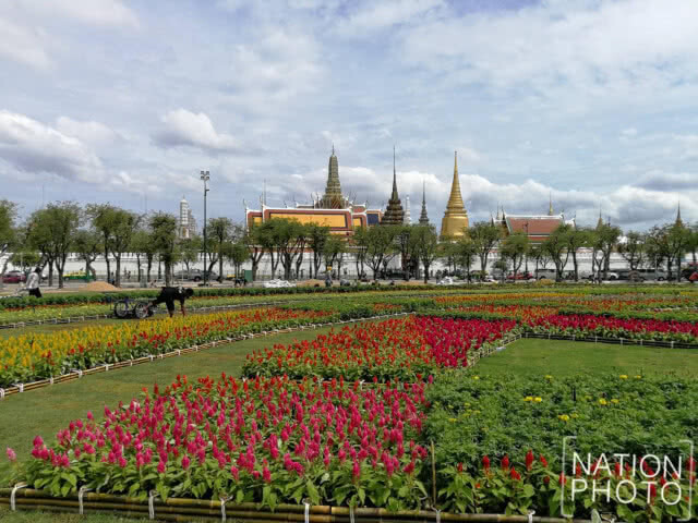 สมพระเกียรติ! ปรับภูมิทัศน์ท้องสนามหลวงเตรียมงานวันเฉลิมพระชนมพรรษาสมเด็จพระเจ้าอยู่หัว (ชมภาพชุด)