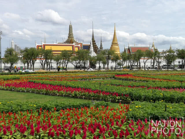 สมพระเกียรติ! ปรับภูมิทัศน์ท้องสนามหลวงเตรียมงานวันเฉลิมพระชนมพรรษาสมเด็จพระเจ้าอยู่หัว (ชมภาพชุด)