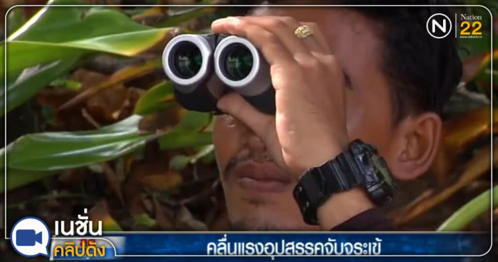 เสริมทีมล่าจระเข้ แต่พบอุปสรรคจากคลื่นแรง เสริมทีมล่าจระเข้ แต่พบอุปสรรคจากคลื่นแรง