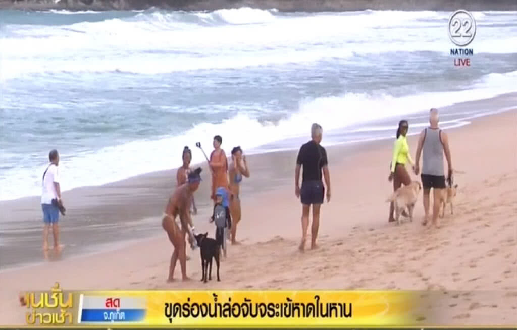 ขุดร่องน้ำล่อจับจระเข้หาดในหาน ขุดร่องน้ำล่อจับจระเข้หาดในหาน