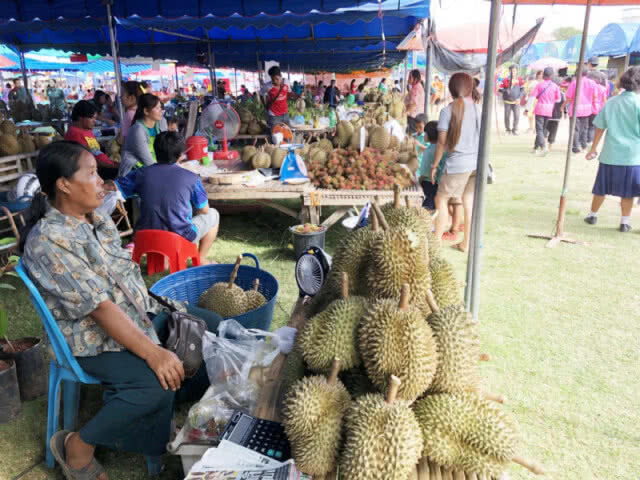 คึกคัก!! งานทุเรียนภูเขาไฟลูกสุดท้ายชายแดนขุนหาญ