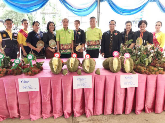 คึกคัก!! งานทุเรียนภูเขาไฟลูกสุดท้ายชายแดนขุนหาญ
