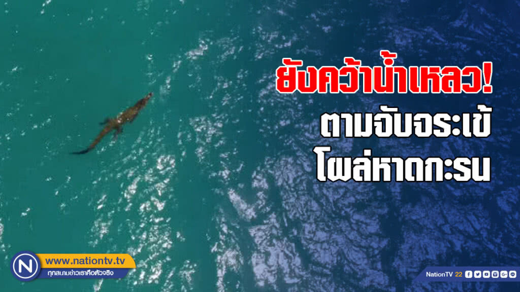 ตามจับจระเข้โผล่หาดกะรน คว้าน้ำเหลว ตามจับจระเข้โผล่หาดกะรน คว้าน้ำเหลว