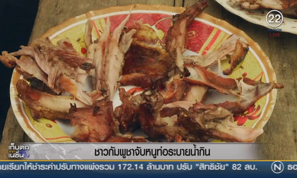 (คลิปข่าว) ชาวกัมพูชาจับหนูท่อระบายน้ำมากิน (คลิปข่าว) ชาวกัมพูชาจับหนูท่อระบายน้ำมากิน