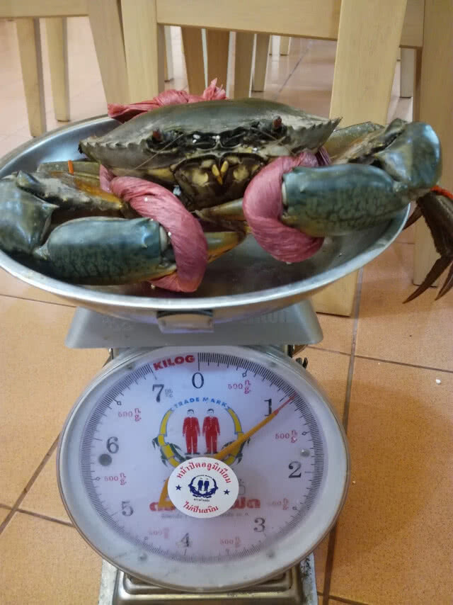 U CAN EAT MEET กับปูน : ไปชิมปู สะพานเหลืองกัน