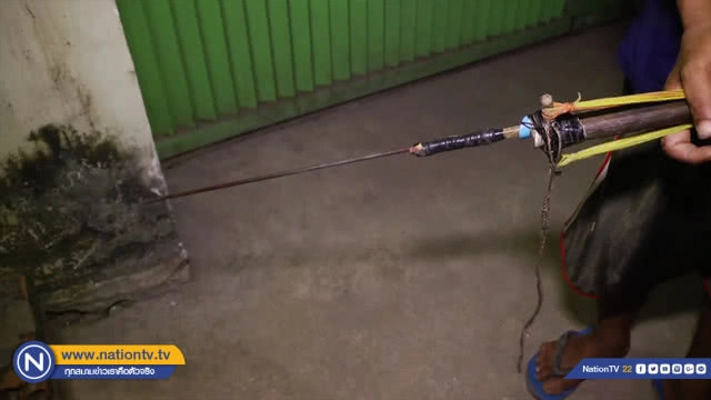 ชาวกัมพูชาจับ "หนูท่อระบายน้ำ" มาทำอาหารกิน