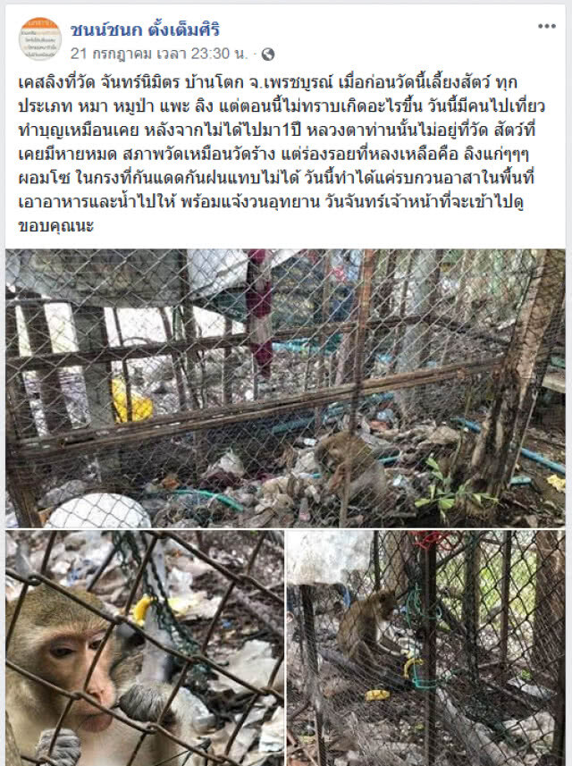 ใจบุญ! จนท. ช่วยลิง 2 ตัว ถูกปล่อยทิ้งในวัด