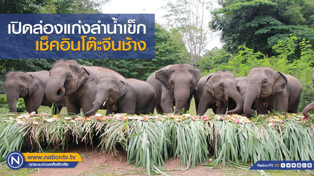 เปิดล่องแก่งลำน้ำเข็กเช็คอินโต๊ะจีนช้าง