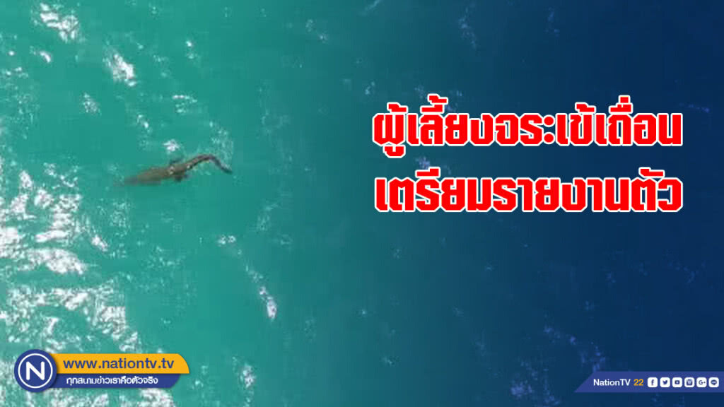 ผวจ.ภูเก็ตเตรียมออกประกาศผู้เลี้ยงจระเข้เถื่อนรายงานตัว