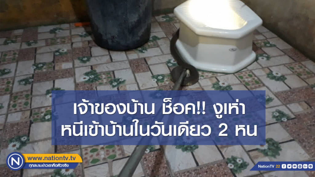 เจ้าของบ้าน แทบช็อค!! งูเห่า หนีเข้าบ้านในวันเดียว 2 หน