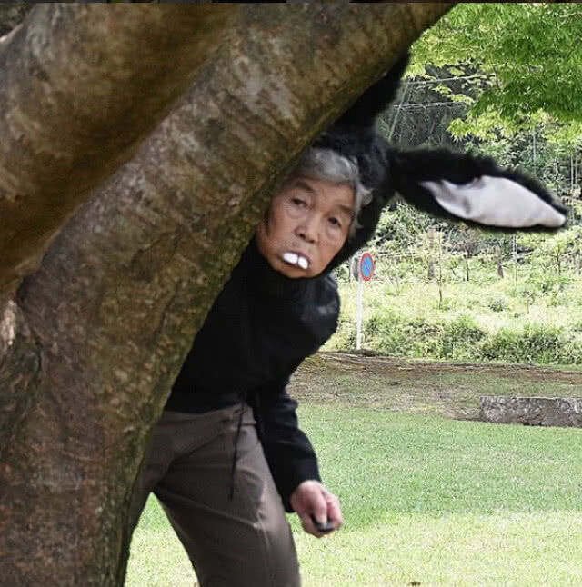 คุณย่าทวดญี่ปุ่นดังพลุแตก! ด้วยภาพสุดฮา
