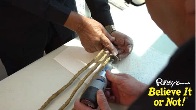 ชายชราอินเดียเล็บยาวที่สุดในโลก ตัดเล็บแล้ว หลังไว้ยาวนานกว่า 66 ปี! (ชมคลิป)