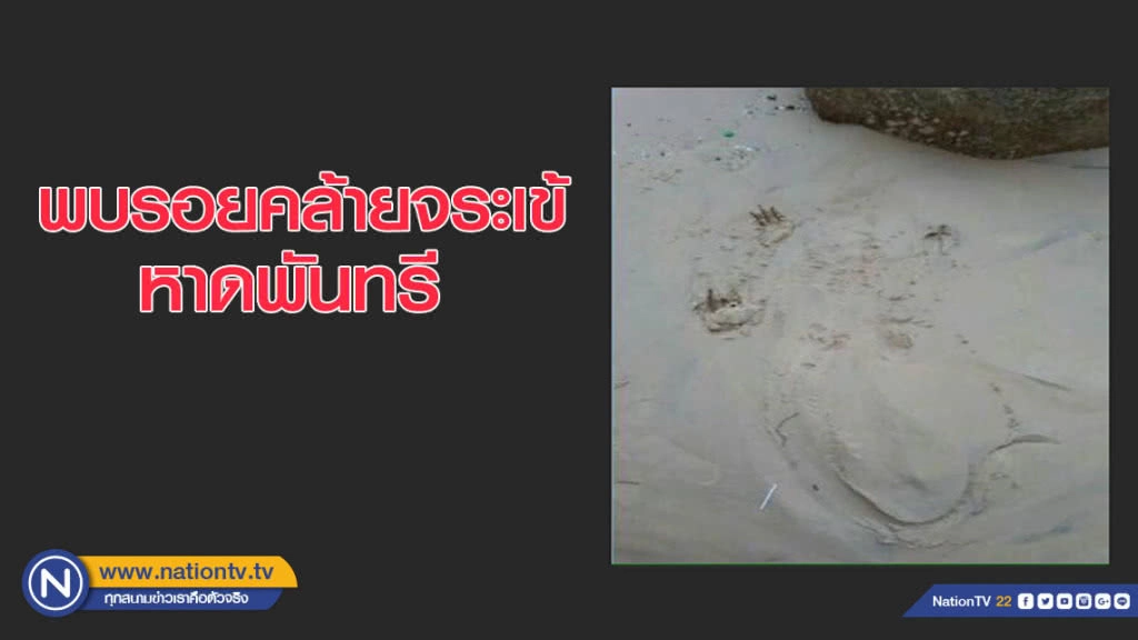 พบรอยคล้ายจระเข้หาดพันทรี ประมงตั้งรางวัลผู้ให้เบาะแส