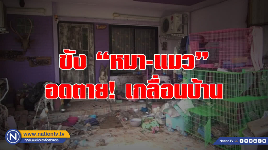 สุดสลด! ครูขัง "หมา-แมว" อดข้าว-น้ำ ตายเกลื่อนบ้าน สุดสลด! ครูขัง "หมา-แมว" อดข้าว-น้ำ ตายเกลื่อนบ้าน