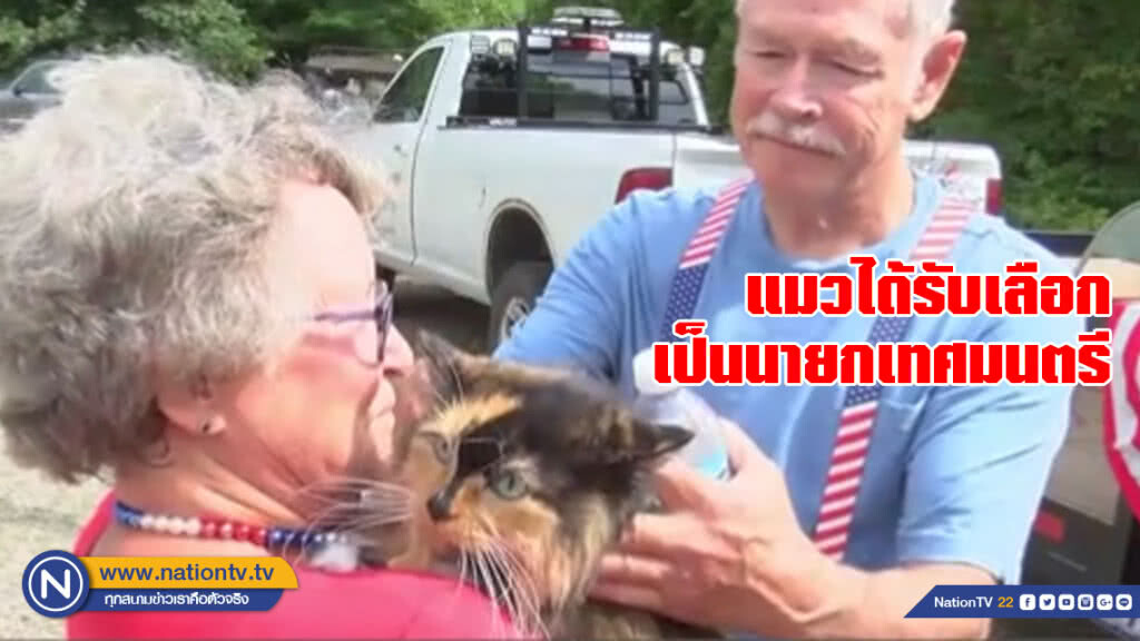 แมวได้รับเลือกเป็นนายกเทศมนตรีในสหรัฐ แมวได้รับเลือกเป็นนายกเทศมนตรีในสหรัฐ