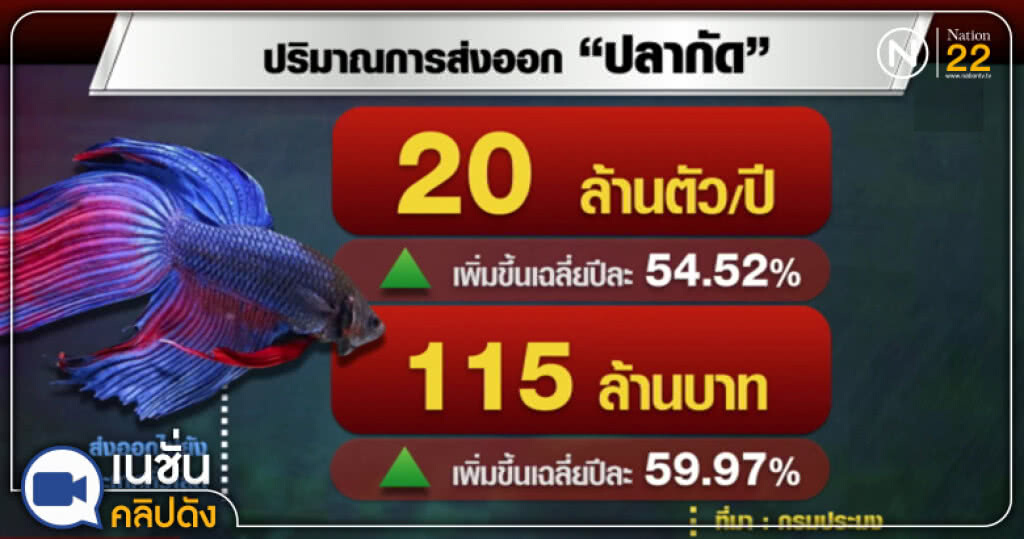 (คลิปข่าว) ปลายทาง "ปลากัดไทย" 83 ประเทศทั่วโลก! (คลิปข่าว) ปลายทาง "ปลากัดไทย" 83 ประเทศทั่วโลก!