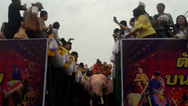 หนึ่งเดียวในโลก!! ตักบาตรพระสงฆ์ 67 รูปบนหลังช้าง วันอาสาฬหบูชา-เข้าพรรษา