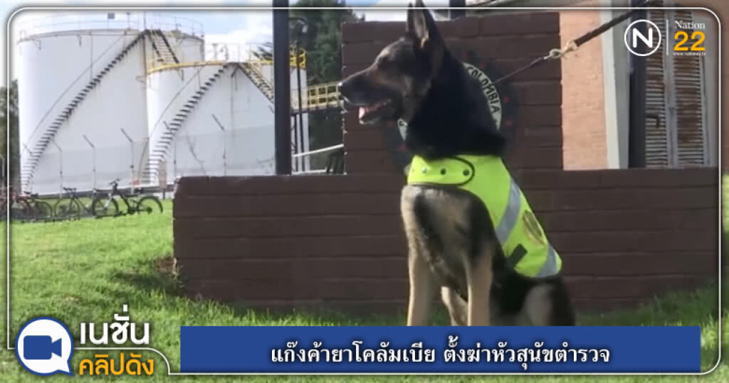 (คลิปข่าว) แก๊งค้ายาโคลัมเบีย ตั้งฆ่าหัวสุนัขตำรวจ (คลิปข่าว) แก๊งค้ายาโคลัมเบีย ตั้งฆ่าหัวสุนัขตำรวจ