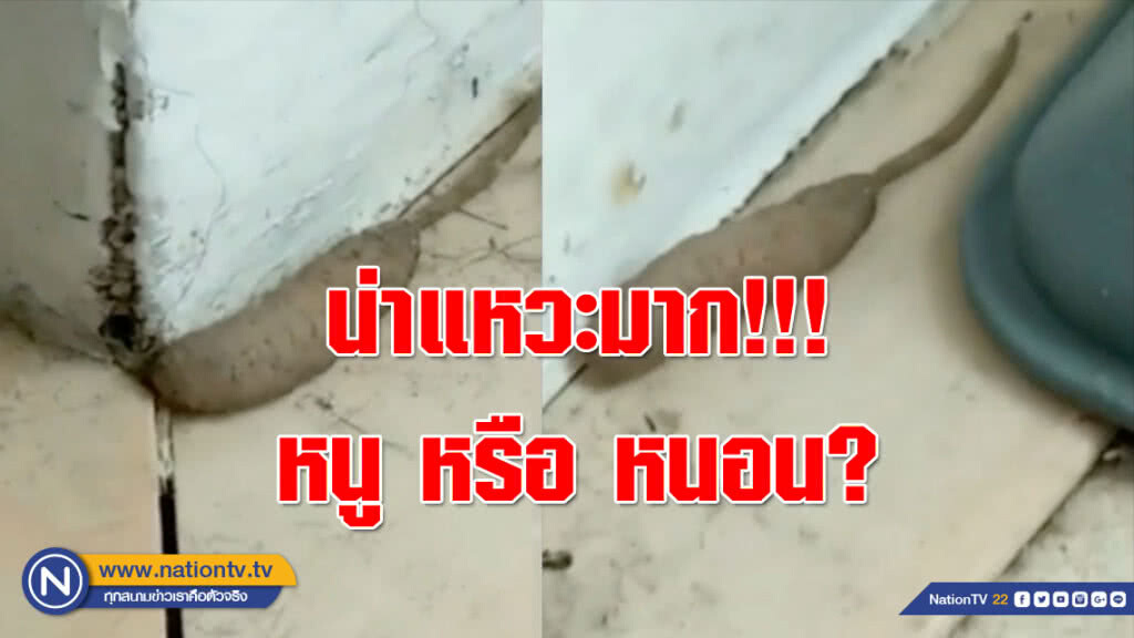 น่าแหวะมาก!!! หนู หรือ หนอน? โผล่ที่อังกฤษ (ชมคลิป)