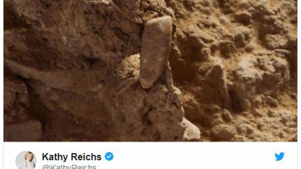 นักเรียนวัยรุ่นขุดเจอ "ฟันมนุษย์" ยุคเก่าที่สุดในฝรั่งเศส
