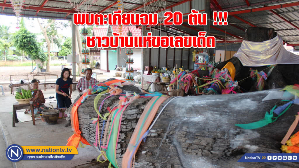 พบต้นตะเคียนจม 20 ต้น !!! อ่างเก็บน้ำบ้านหัวทำนบ ชาวบ้านแห่ขอเลขเด็ด