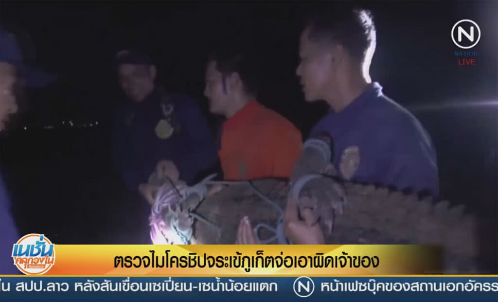 (คลิปข่าว) ตรวจไมโครชิปจระเข้ภูเก็ต จ่อเอาผิดเจ้าของ (คลิปข่าว) ตรวจไมโครชิปจระเข้ภูเก็ต จ่อเอาผิดเจ้าของ