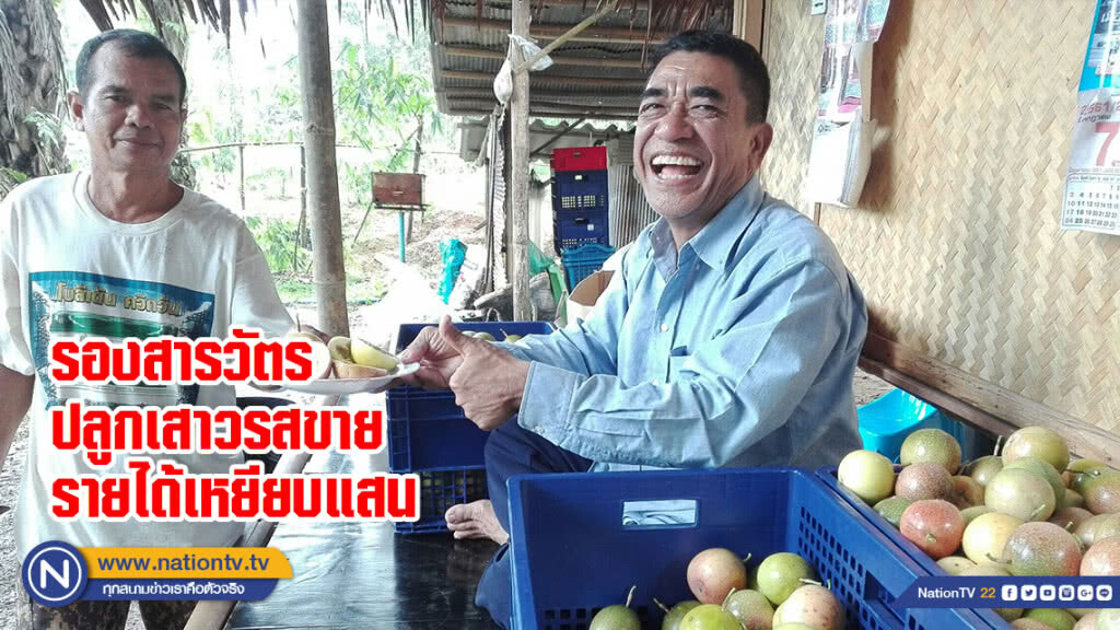 รองสารวัตรปลูกเสาวรสขายรายได้เหยียบแสน รองสารวัตรปลูกเสาวรสขายรายได้เหยียบแสน