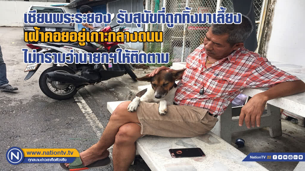 เซียนพระในระยอง รับสุนัขที่ถูกทอดทิ้ง เฝ้าอยู่เกาะกลางถนน มาเลี้ยงโดยไม่ทราบว่า นายกฯให้ติดตาม