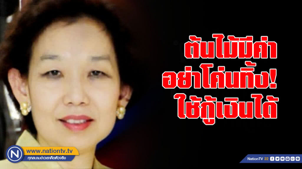 ต้นไม้ 58 ชนิด ใช้ "ค้ำกู้เงินได้" พร้อมเปิดหลักเกณฑ์เบื้องต้น