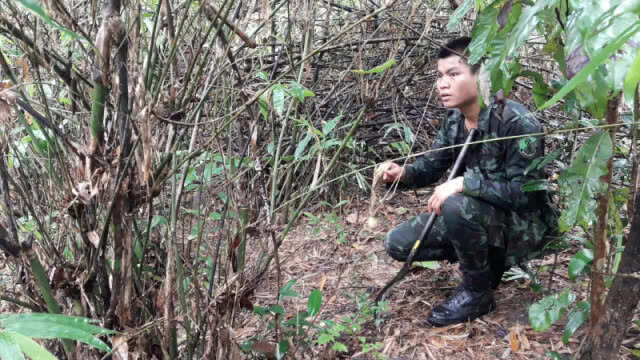 ปูพรมตามอดีตพรานป่า หายไร้ร่องรอยบนเทือกเขาภูพาน