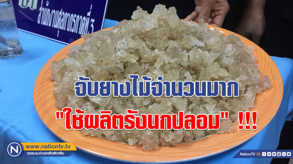 (คลิป) ใครชอบกินรังนก ระวัง!!! จับยางไม้จำนวนมาก "ใช้ผลิตรังนกปลอม" !!!