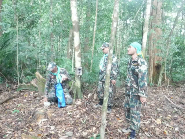 ภาพสุดประทับใจผืนป่าไทย! พบสัตว์ป่าหลากหลายสายพันธุ์ ในผืนป่าเขตฯ คลองนาคา