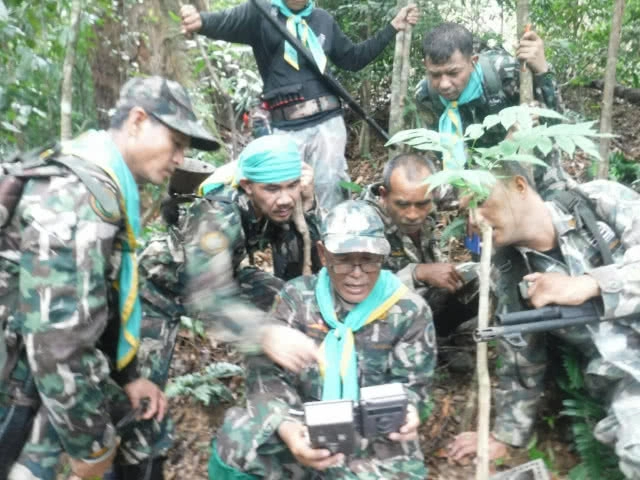 ภาพสุดประทับใจผืนป่าไทย! พบสัตว์ป่าหลากหลายสายพันธุ์ ในผืนป่าเขตฯ คลองนาคา