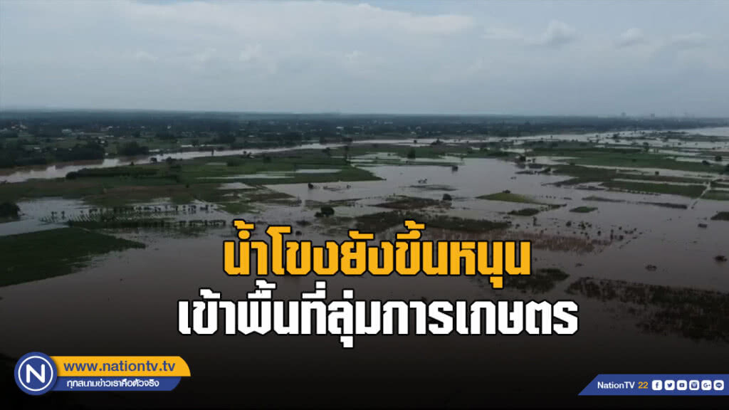 น้ำโขงยังขึ้นหนุนเข้าพื้นที่ลุ่มการเกษตร