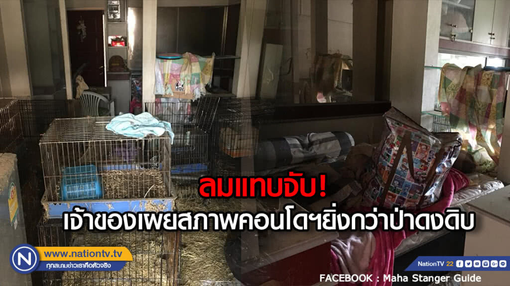 ลมแทบจับ! เจ้าของเผยสภาพคอนโดที่ปล่อยเช่าฯรกยิ่งกว่าป่าดงดิบ ลมแทบจับ! เจ้าของเผยสภาพคอนโดที่ปล่อยเช่าฯรกยิ่งกว่าป่าดงดิบ