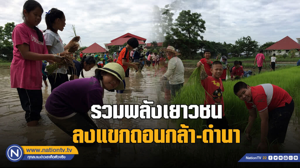 รวมพลังเยาวชน ลงแขกถอนกล้า-ดำนา สืบสานศก.พอเพียง ในหลวง ร.9