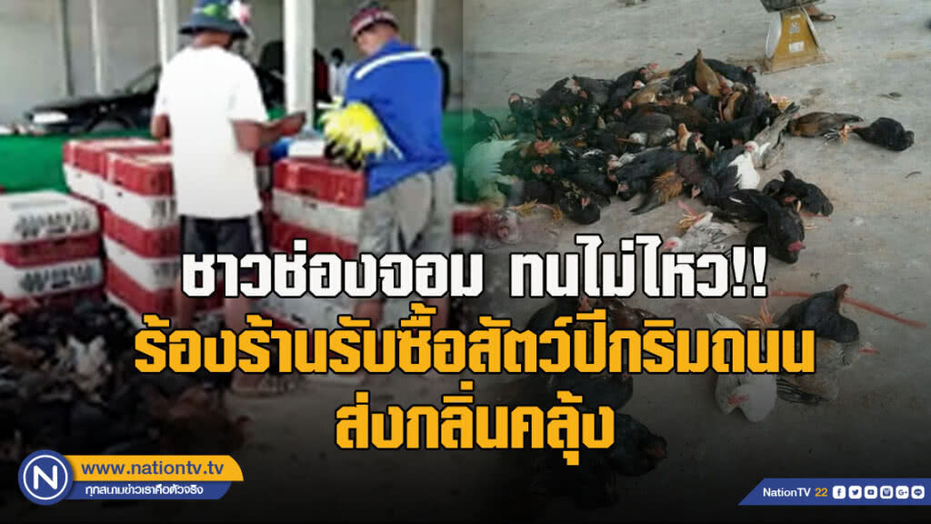 ชาวช่องจอม ทนไม่ไหว!! ร้องร้านรับซื้อสัตว์ปีกริมถนน ส่งกลิ่นคลุ้ง
